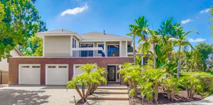 10414 White Birch Dr, Scripps Ranch