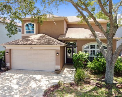 11709 Branch Mooring Drive, Tampa