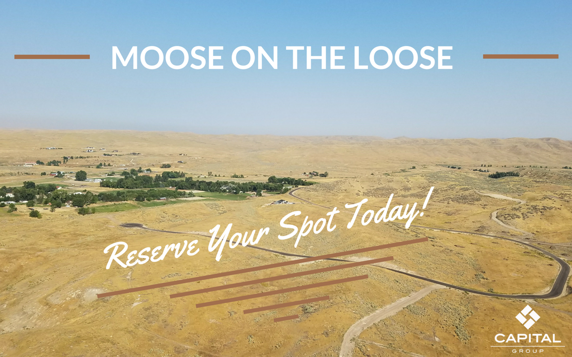 MOOSE ON THE LOOSE SUBDIVISION