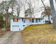 705 Windsor Drive, Homewood image