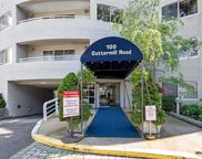 100 Cuttermill Road Unit #4N, Great Neck image