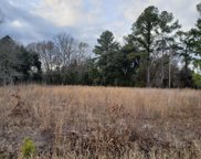Oakman Branch Road, Walterboro image