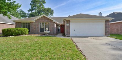 5411 Trail Timbers Drive, Humble
