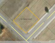 101 Trego Court, Mackay image