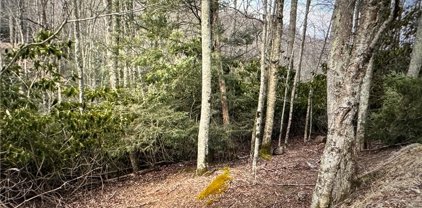 123/125 Locust Ridge Road, Beech Mountain