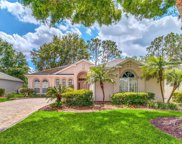 2405 Twickingham Court, Clermont image