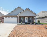 202 Sand Hills Drive, Maryville image