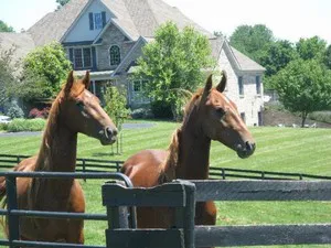 Shelby County KY Horse Farm