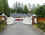 10818 280 Street, Maple Ridge image