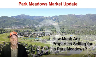 Park Meadows Area Real Estate Market Update