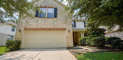 11407 Maple Falls Drive, Tomball