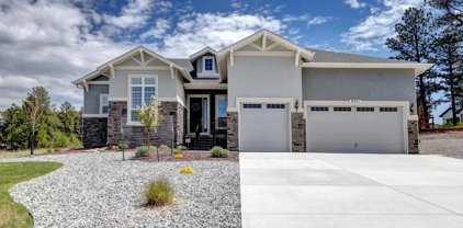 9371 Lone Timber Court, Parker