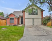 11411 Buffalo Horn, San Antonio image