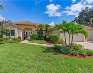 12501 Walden Run  Drive, Fort Myers image