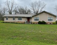 524 Harden Road, Slocomb image