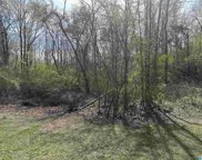 3368 Cooks Moore Road, Trussville image