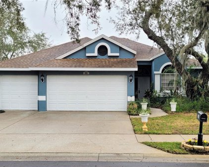 381 Wood Bridge Avenue, Tarpon Springs