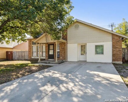 8118 Golden Harvest, San Antonio