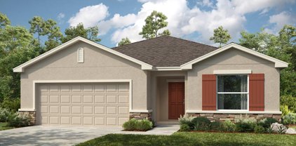 1249 Asher Mason Avenue, Kissimmee