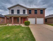 8516 Cactus Patch  Way, Fort Worth image