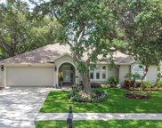 5810 Bitter Orange Avenue, Tampa image