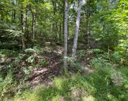 1327 Yellowwood Dr, Sevierville image