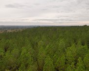 Sawyer Road, Monetta image