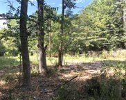 Tract 3.1 Sylvia Trail, Coldspring image