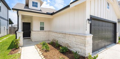 23538 Fallen Cone Street, Spring