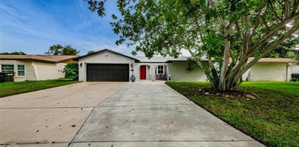 110 Coral Drive, Safety Harbor