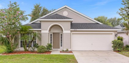 10930 Buckwater Court, Orlando