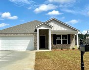 205 Mairead Dr., Dothan image