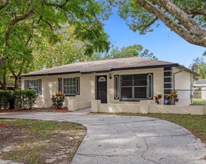 5310 Green Velvet Court, Orlando