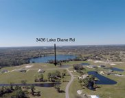 3436 Lake Diane Road, Tavares image