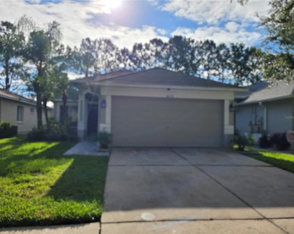 18119 Canal Pointe Street, Tampa