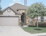13303 Windmill Trace, Helotes image
