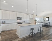 656 Bodark, New Braunfels image