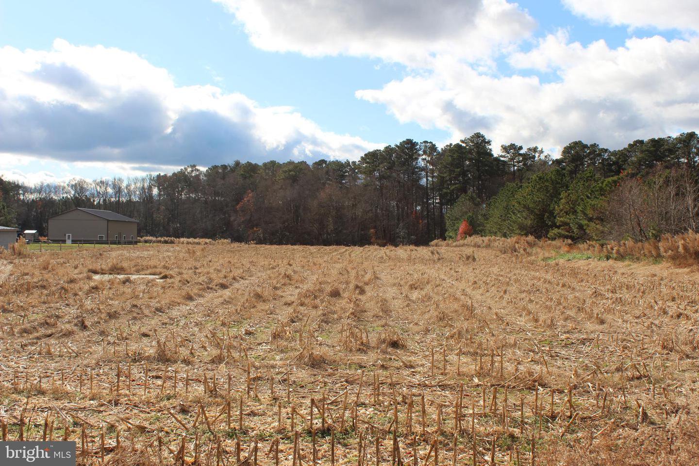 Friendship Road, Pittsville, MD, 21850