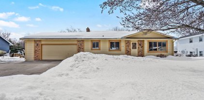 1118 Blackoaks Court, Anoka