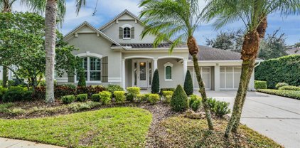 11910 Meridian Point Drive, Tampa