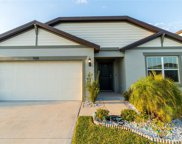 920 Coastal Hammock Avenue, Ruskin image