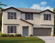 9729 Branching Ship Trace, Wesley Chapel image