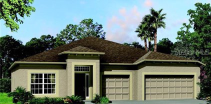3192 King Fern Drive, Wimauma