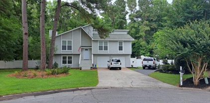14 Mulroy Court, Charleston