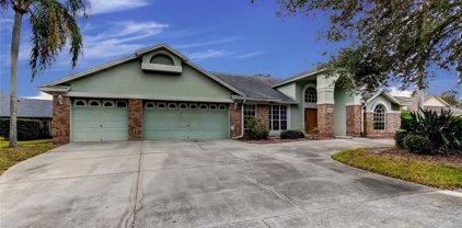 5619 Glencrest Boulevard, Tampa