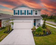 11923 Streambed Drive, Riverview image