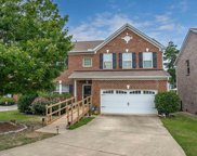 124 Palm Street, Chapin image