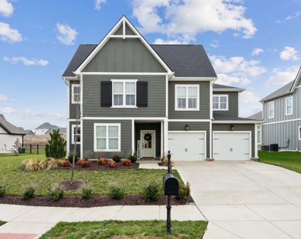 847 Plowson Rd, Mount Juliet