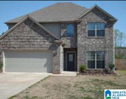5048 Candle Brook Place, Bessemer image