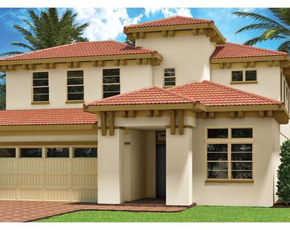 13910 Larkton Lane, Orlando